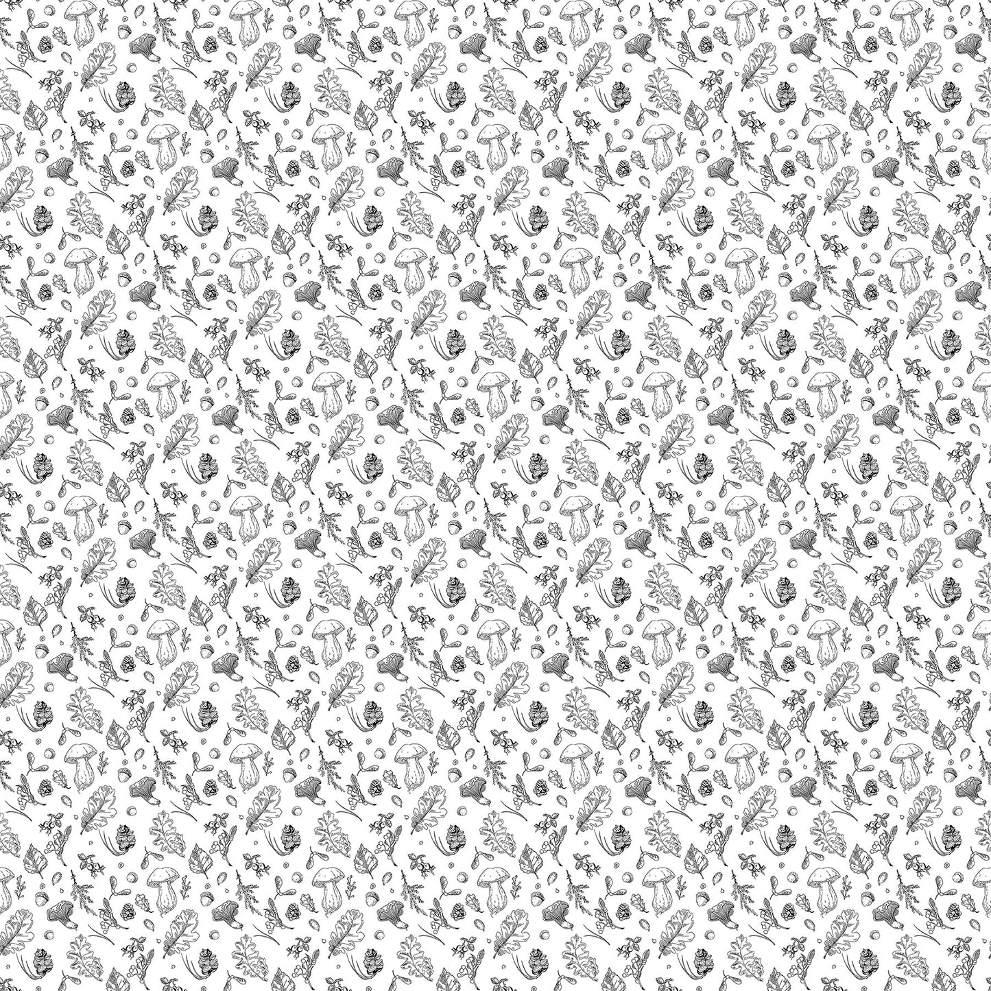 Natures Sketchbook - Forage - White/Black
