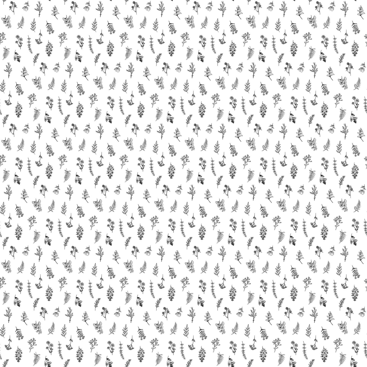 Natures Sketchbook - Mini Floral - White/Black
