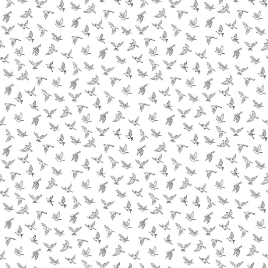 Natures Sketchbook - Birds in Flight - White/Black