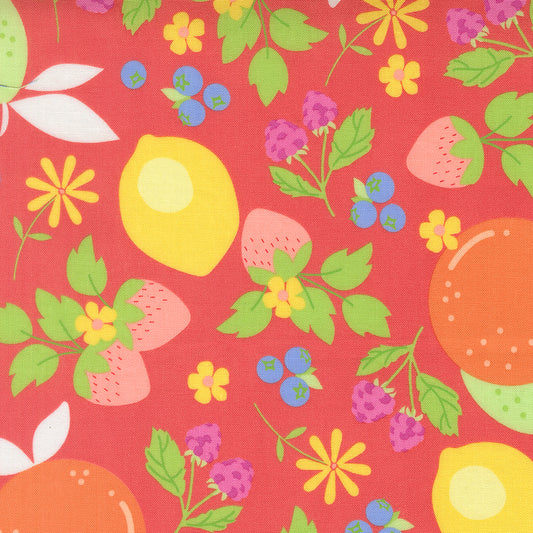 Fruit Salad - Fruits - Flamingo