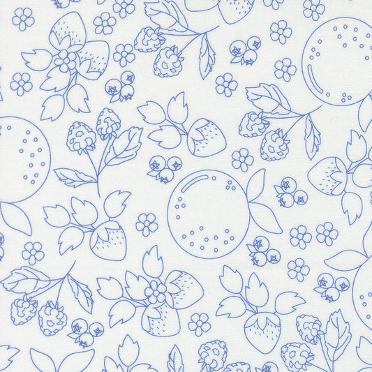 Blue line art pattern of fruits and flowers on a white background
