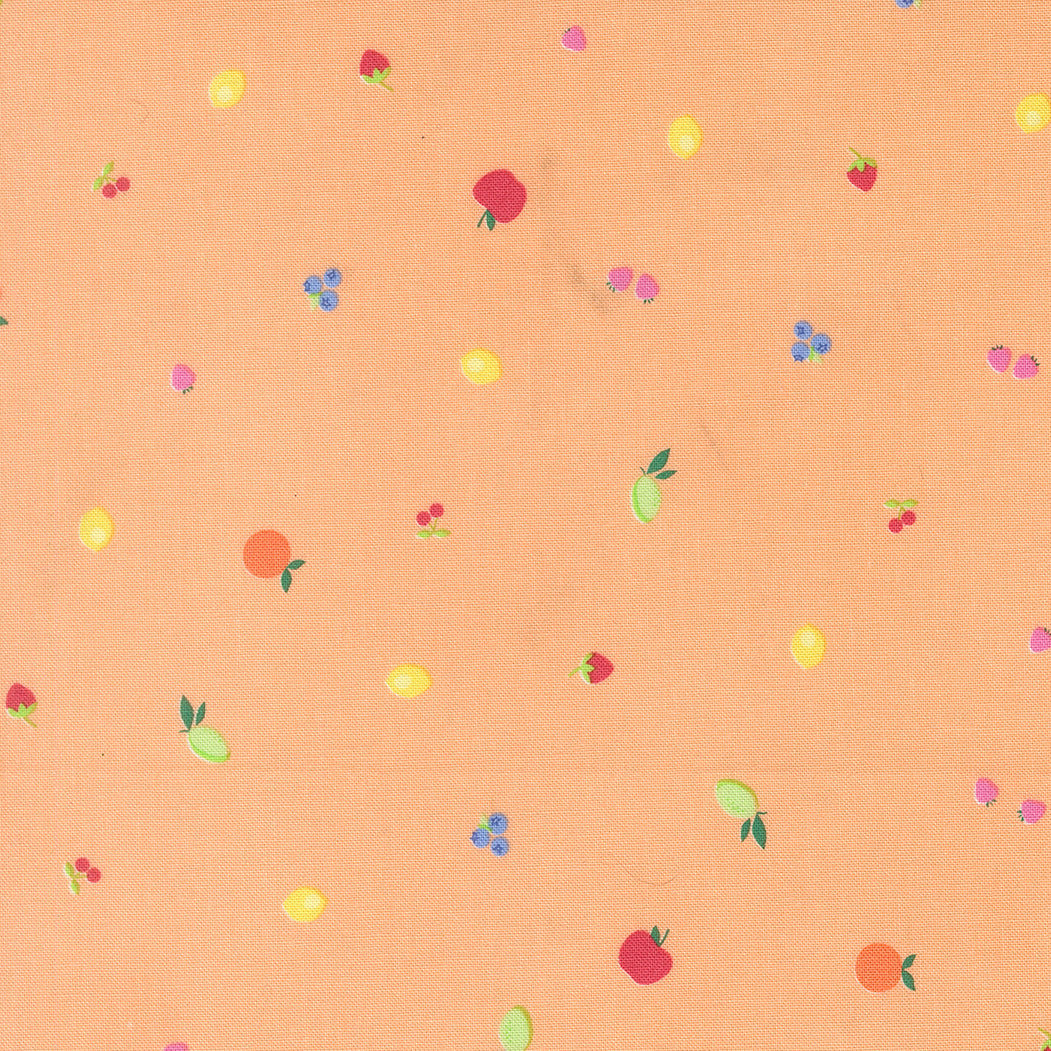 Fruit Snack Blenders Small Fruit Dot apples strawberries lemons limes blueberries cherries on a orange background