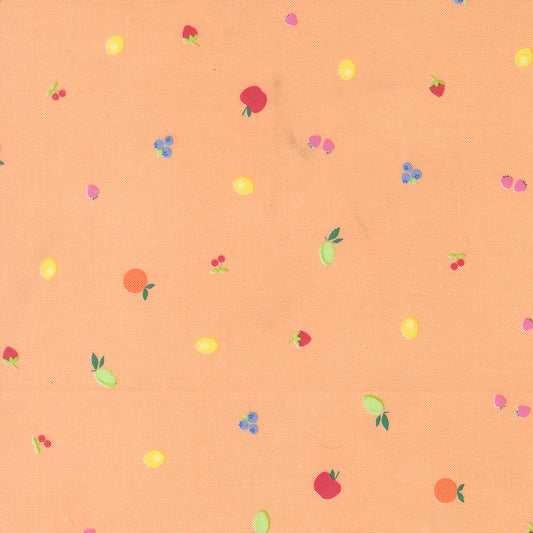 Fruit Snack Blenders Small Fruit Dot apples strawberries lemons limes blueberries cherries on a orange background