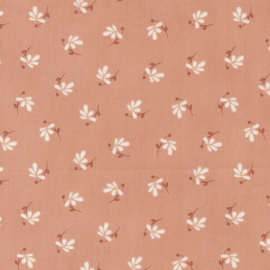 Melrose  - Beverly - Lala Land