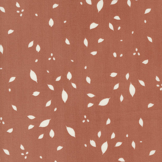 Melrose - Highland - Sunset