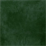Solid dark green color swatch