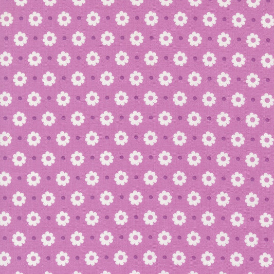 Laguna Sunrise - Petal - Sweet Pea