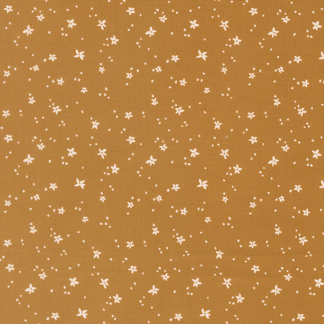 Peachy - Peach Blossom - Honey