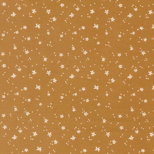 Peachy - Peach Blossom - Honey