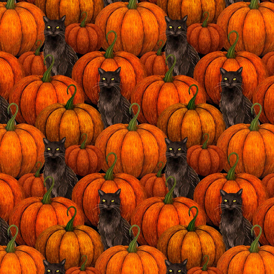 Black cats hiding amongst pumpkins