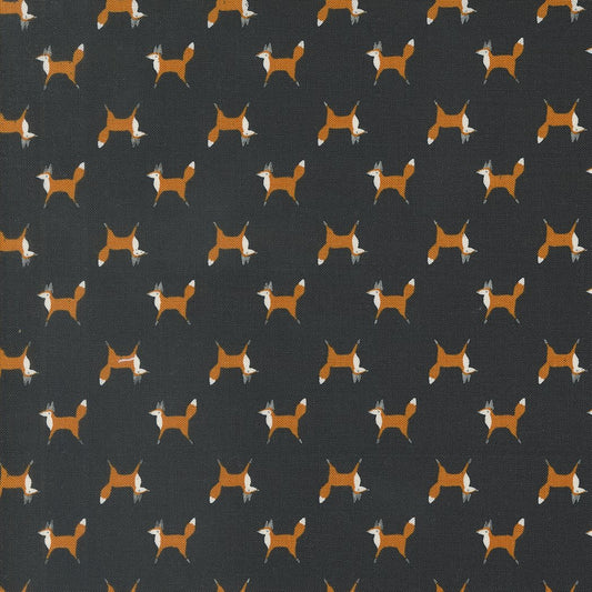 Woodland Wonder - Fox Trot - Midnight