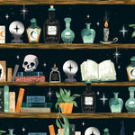 Illustration of a shelf with various mystical items including bottles, books, and a skull against a starry night sky.