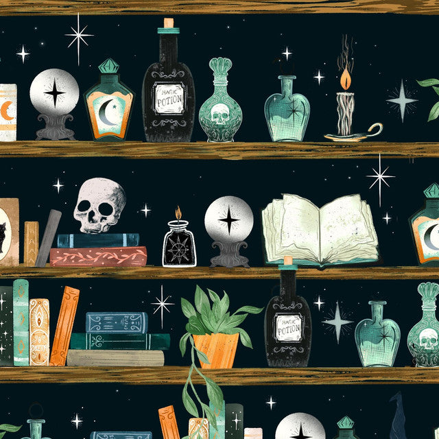 Illustration of a shelf with various mystical items including bottles, books, and a skull against a starry night sky.