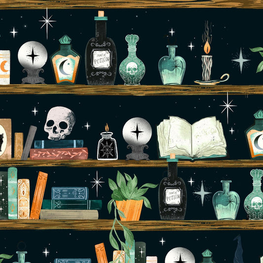 Illustration of a shelf with various mystical items including bottles, books, and a skull against a starry night sky.