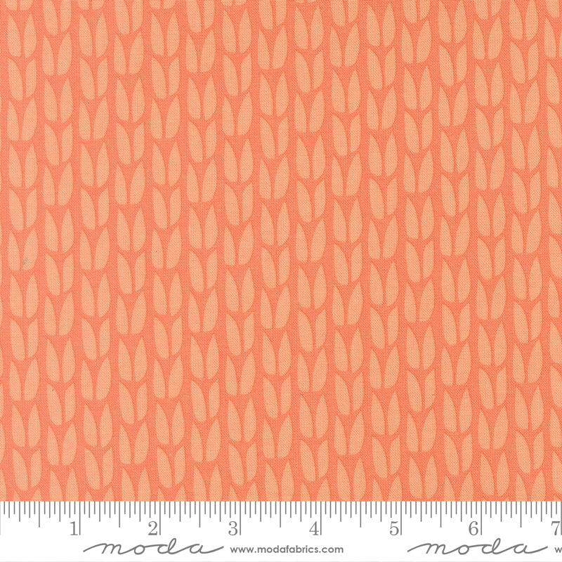 Coral fabric pattern with a ruler for scale on a coral background