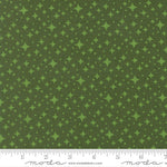 Green fabric with star pattern with a ruler for scale