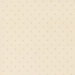 Pattern of small beige dots on a light beige background