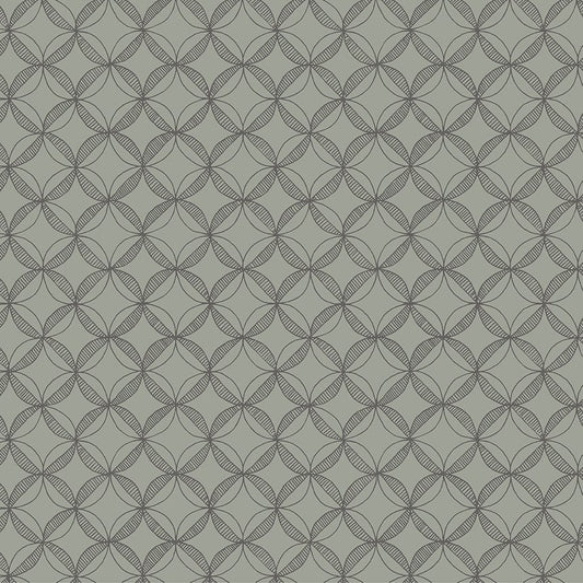 Foundation - Appeal - Smoke