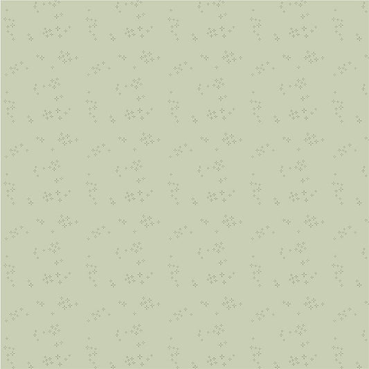 Nature Study 2.0 - Astra - Mint