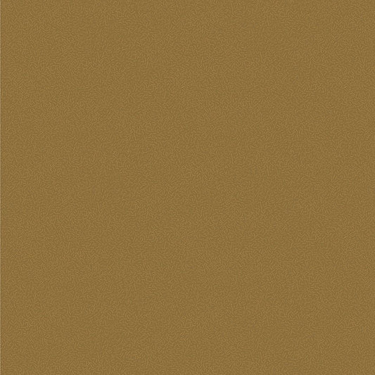 Nature Study 2.0 - Pile - Kelp