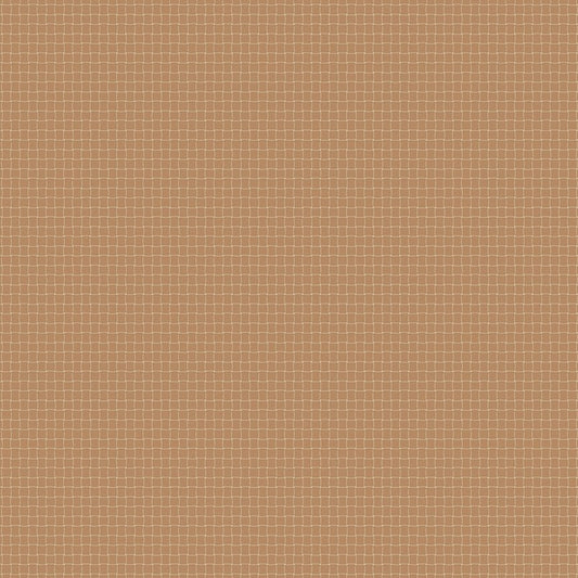 Nature Study 2.0 - Rattan - Rose