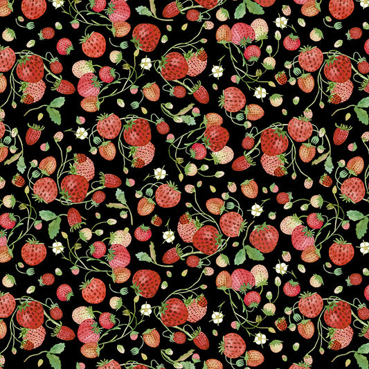 Forest Fruits - Strawberries - Black