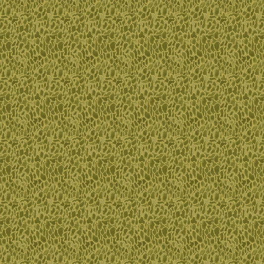 Forest Fruits - Morel - Moss