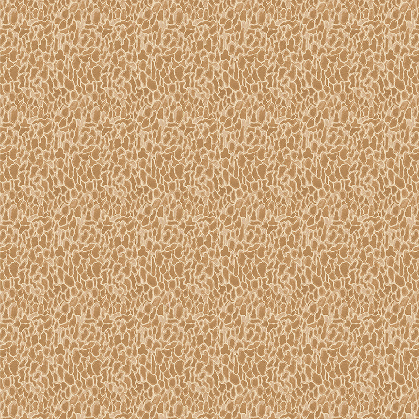 Forest Fruits - Morel - Tan