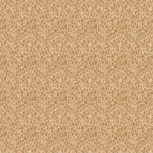 Forest Fruits - Morel - Tan