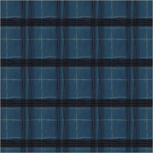 The Plaid One - Window Pane Plaid - Night Sky