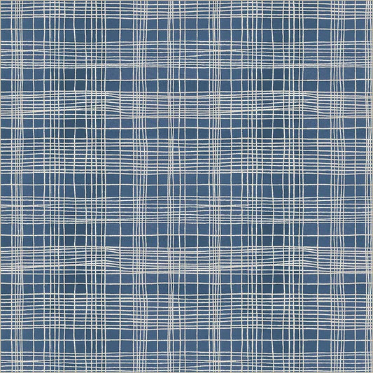 The Plaid One - String Theory Plaid - Clueprint
