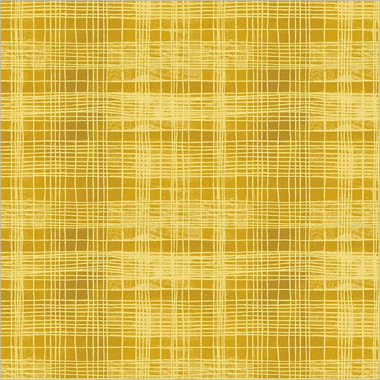 The Plaid One - String Theory Plaid - Delicata