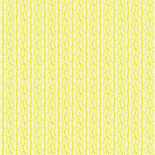 Foliage - Citrus