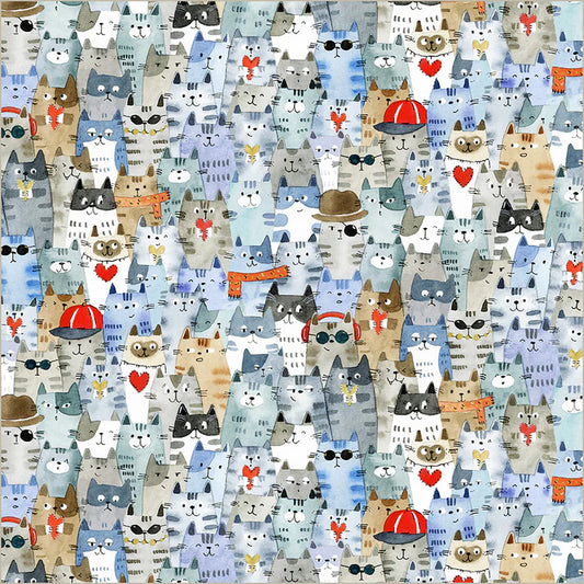 Cats Around Town - Feline Friends