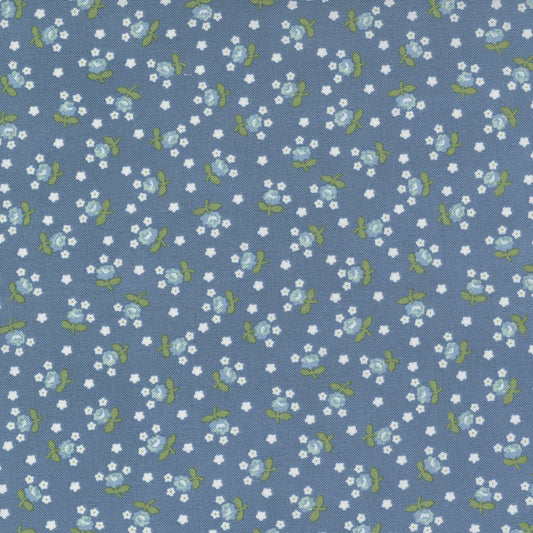 Nantucket Summer - Fairground - Lake