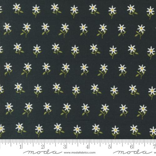 Imaginary Flowers - Wispy Flowers - Ebony
