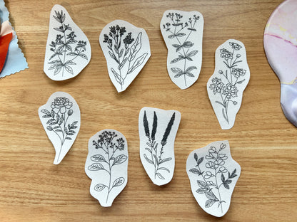 Dye Plants Embroidery Patterns - Botanical Stick and Stitch