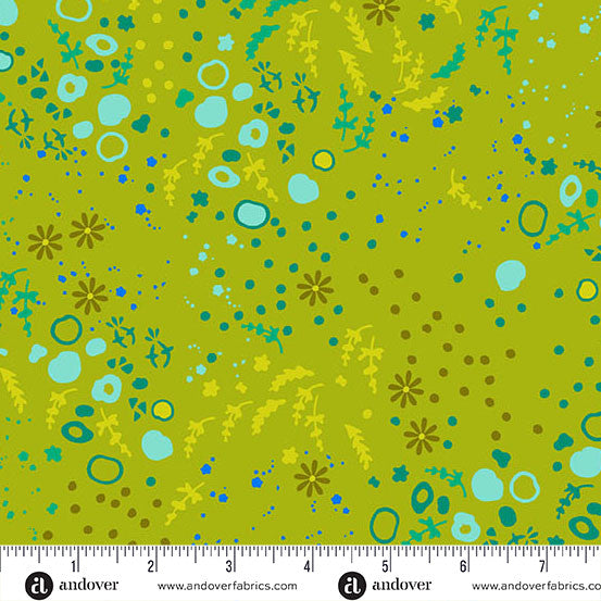 Sun Print 2026 - Equanimity - Toad