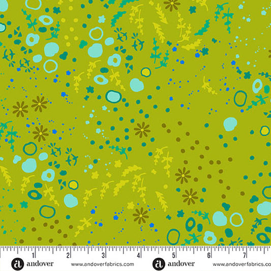 Sun Print 2026 - Equanimity - Toad