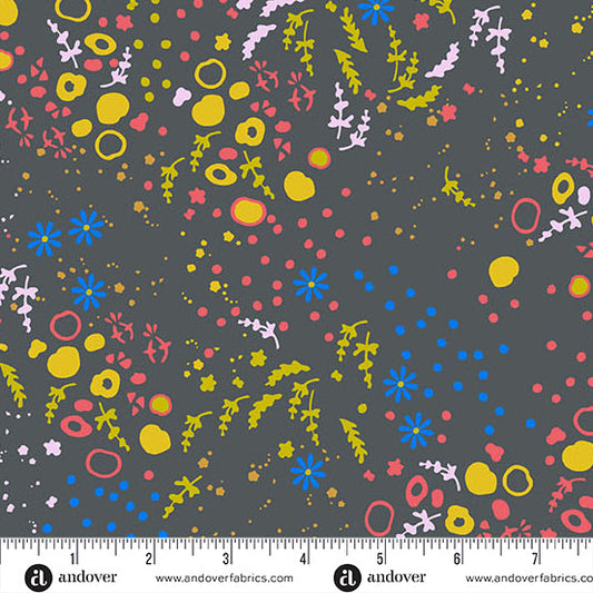 Sun Print 2026 - Equanimity - Dark