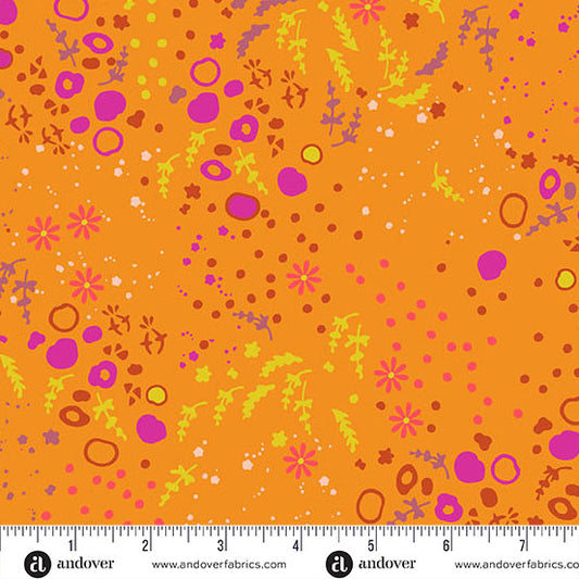 Sun Print 2026 - Equanimity - Squash
