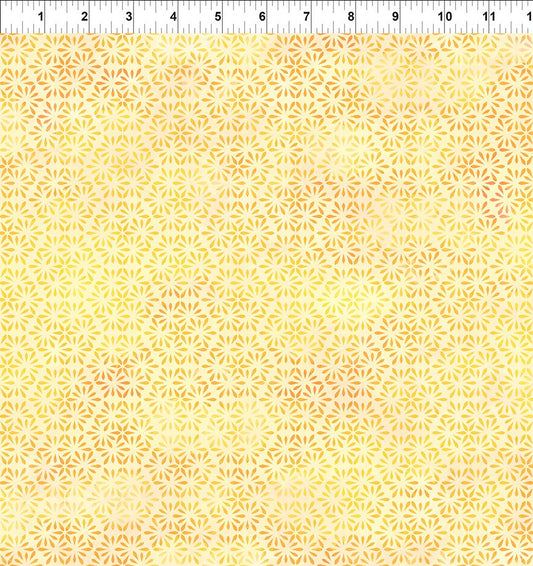 Felicity - Hex - Yellow