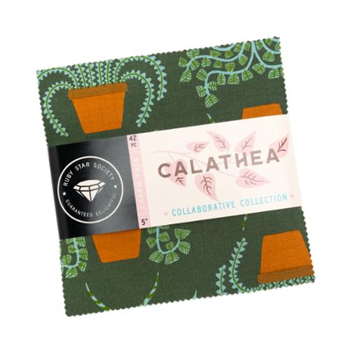 Calathea - Charm