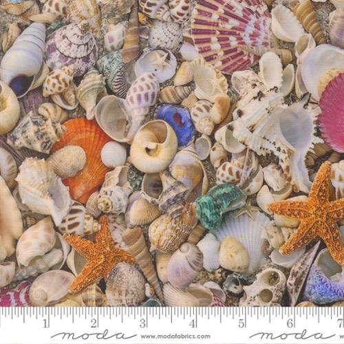 Saltwater - Seas the Day - Shell