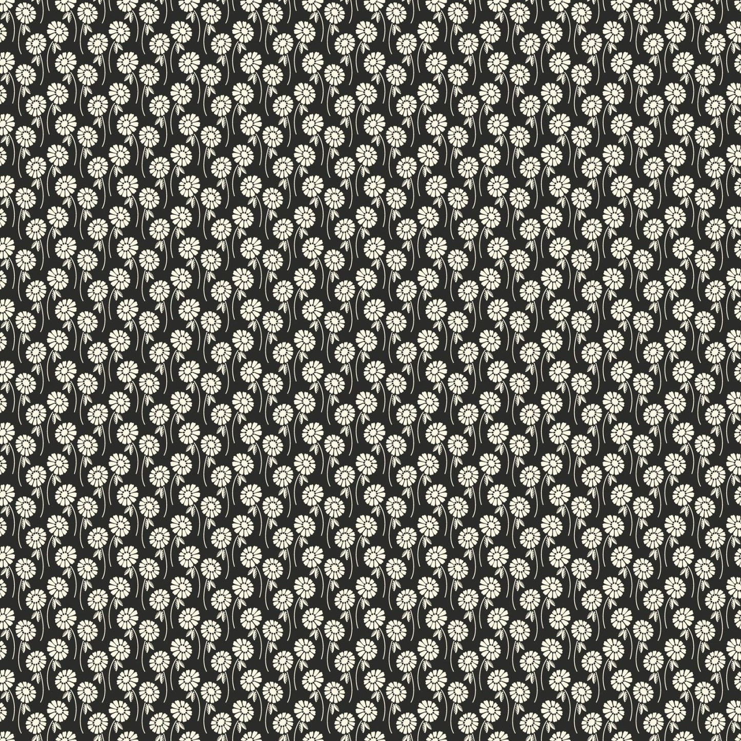 Pop Sugar - Upsy Daisy - Licorice