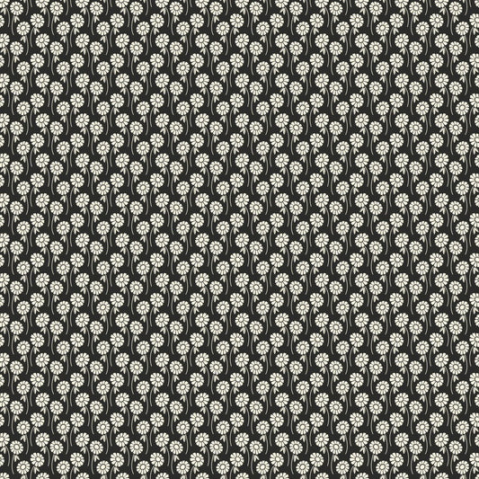 Pop Sugar - Upsy Daisy - Licorice