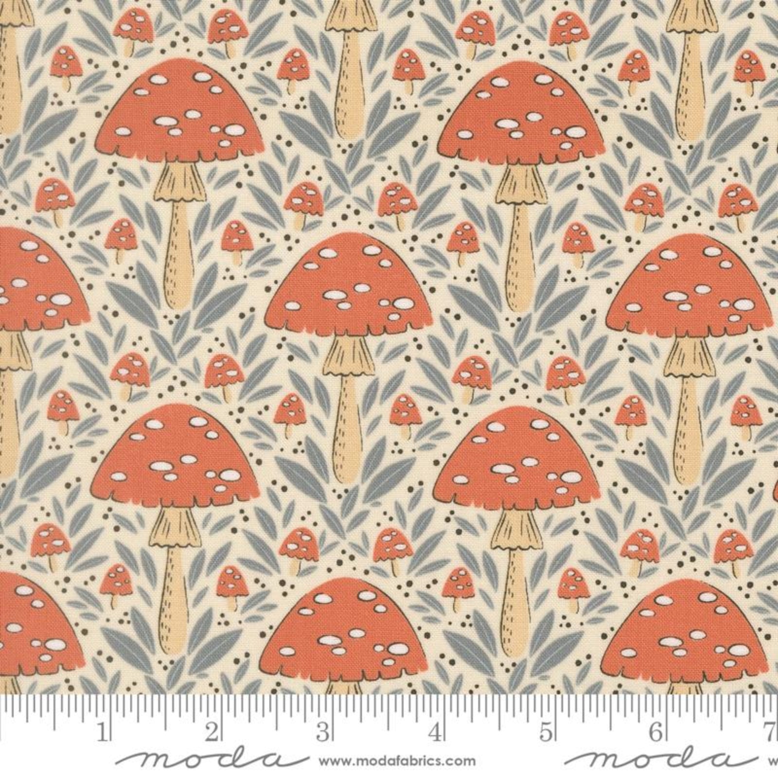 Pattern of red mushrooms with white spots on a beige background, featuring Moda label.