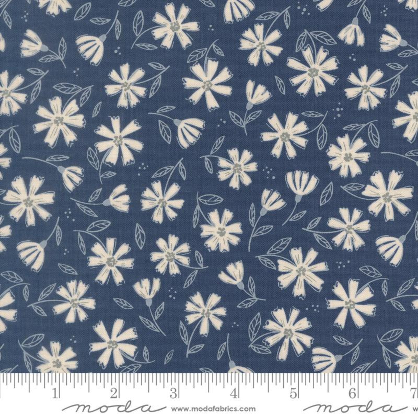 A close-up of a fabric pattern featuring cream-colored daisy-like flowers and delicate leaves on a dark navy blue background, with a measuring ruler along the bottom edge and the Moda brand name visible.