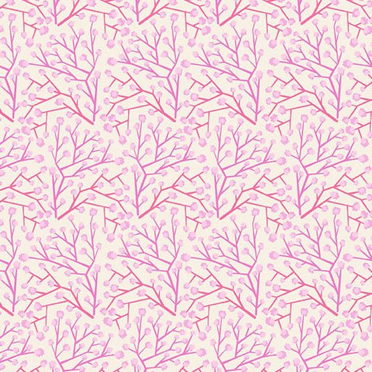 Heart Nouveau - Babys Breath - Sugar