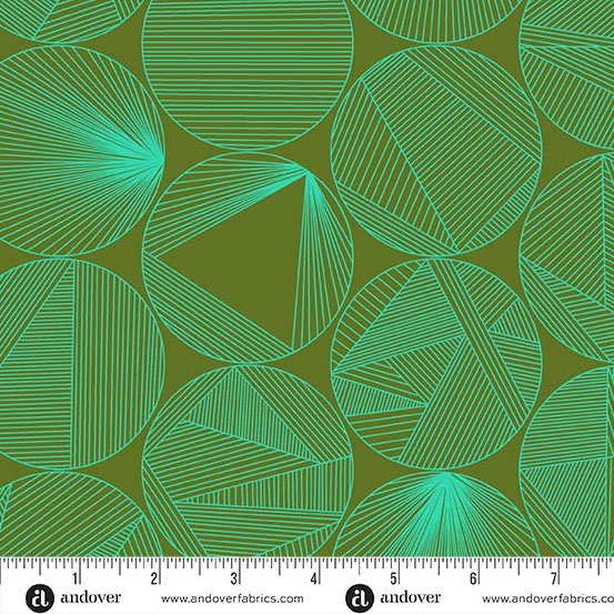 Pre-Order - 40 - Petri - Turtle Power